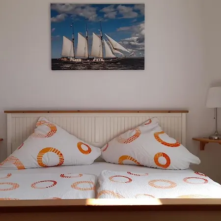 Seestern & Strandzauber