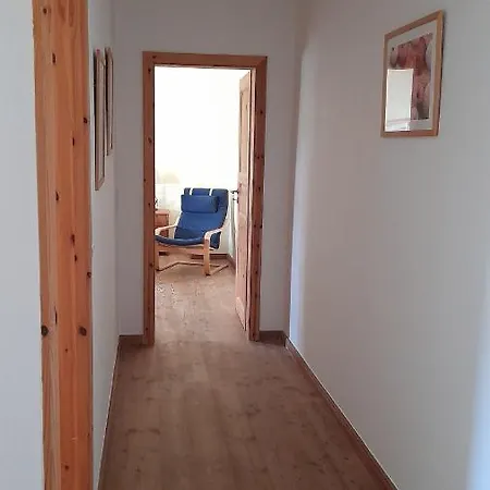 Seestern & Strandzauber *